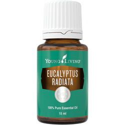 Eucalyptus Radiata 15ml