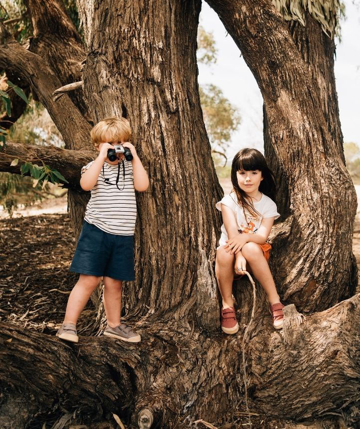 Igor Lona V. Terracota