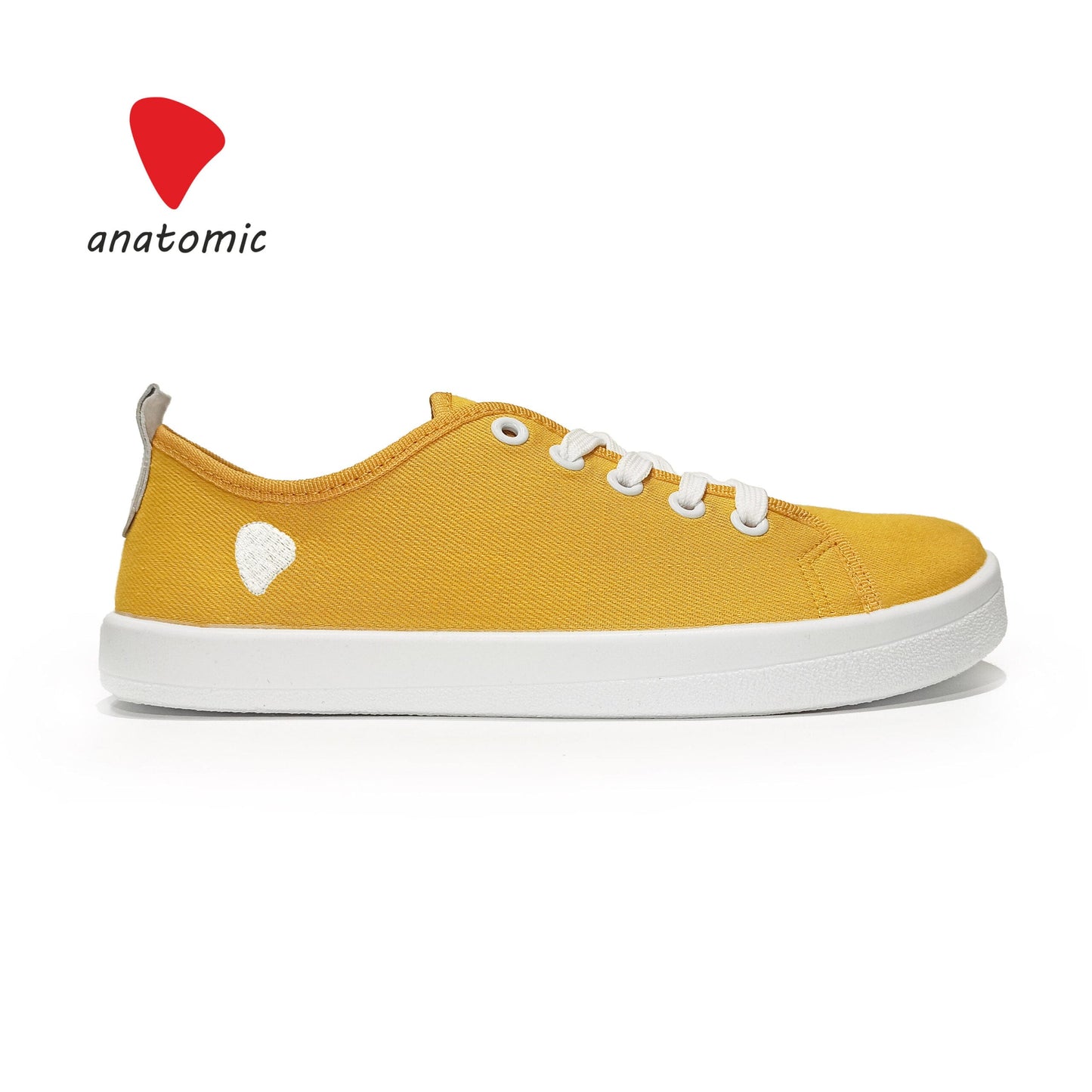 Anatomic Starter Canvas