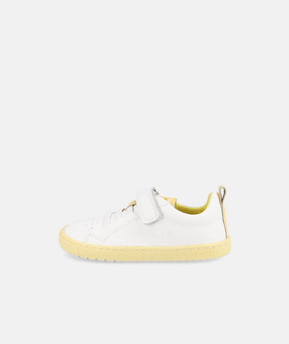 Blanditos Borneo Limon