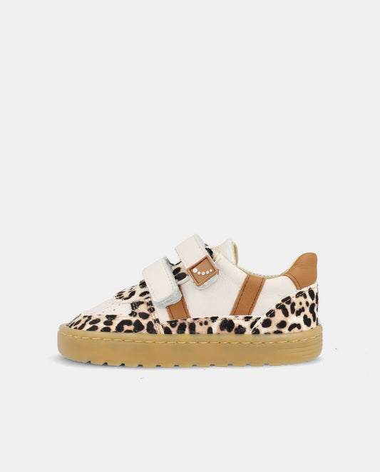 Blanditos Caicos Print
