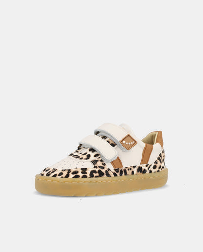 Blanditos Caicos Print