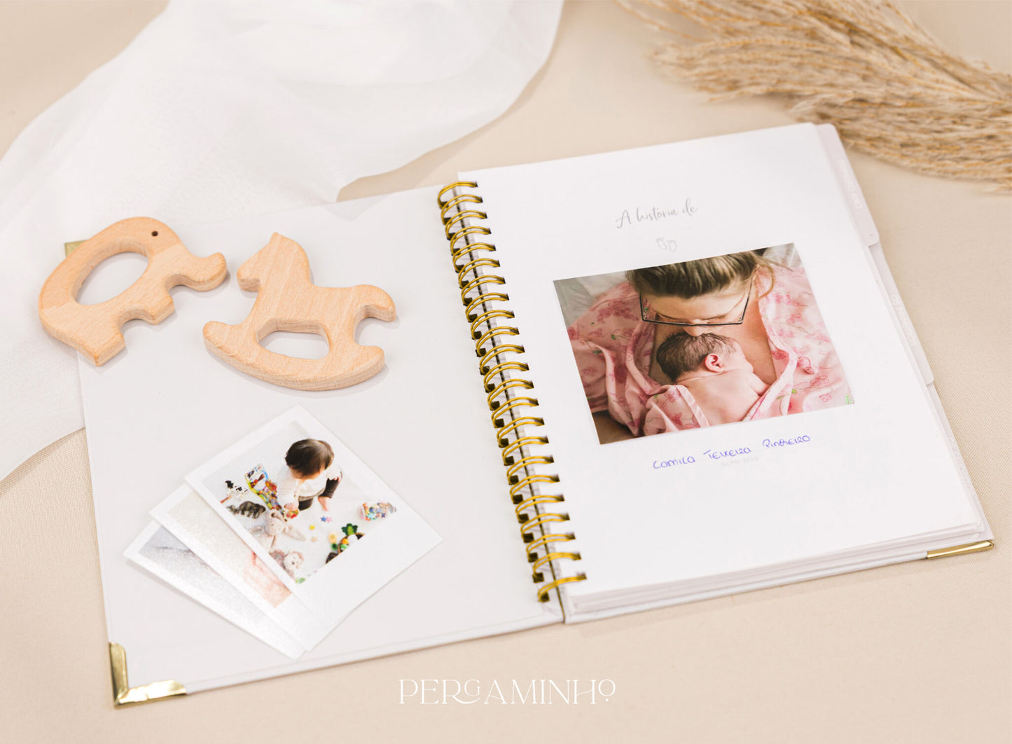 O Meu Diário do Bebé