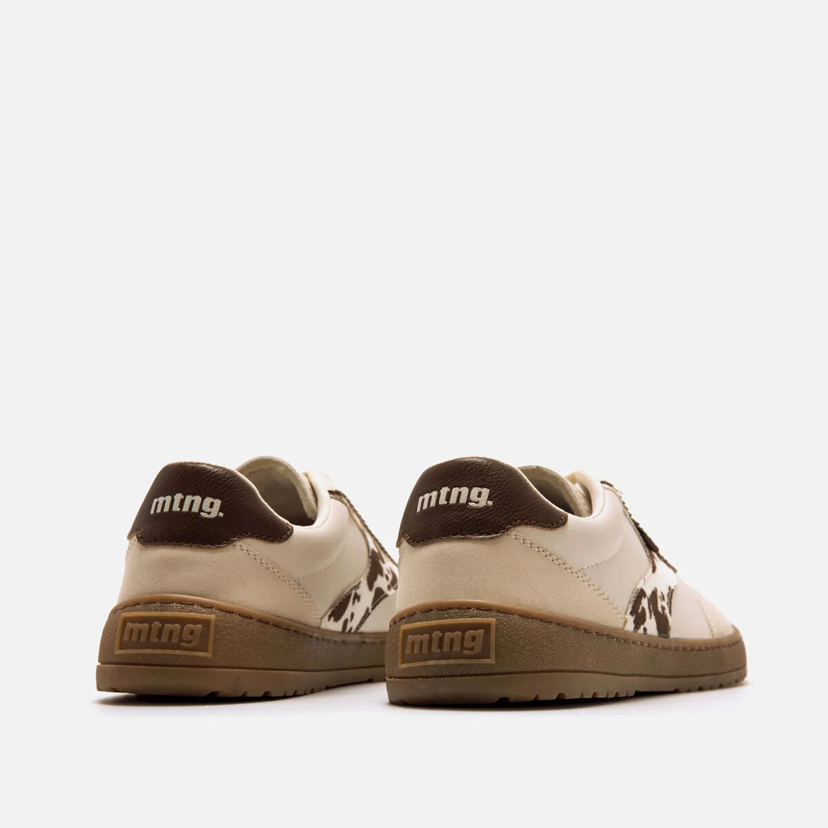 MTNG Alask Wonderly Arena